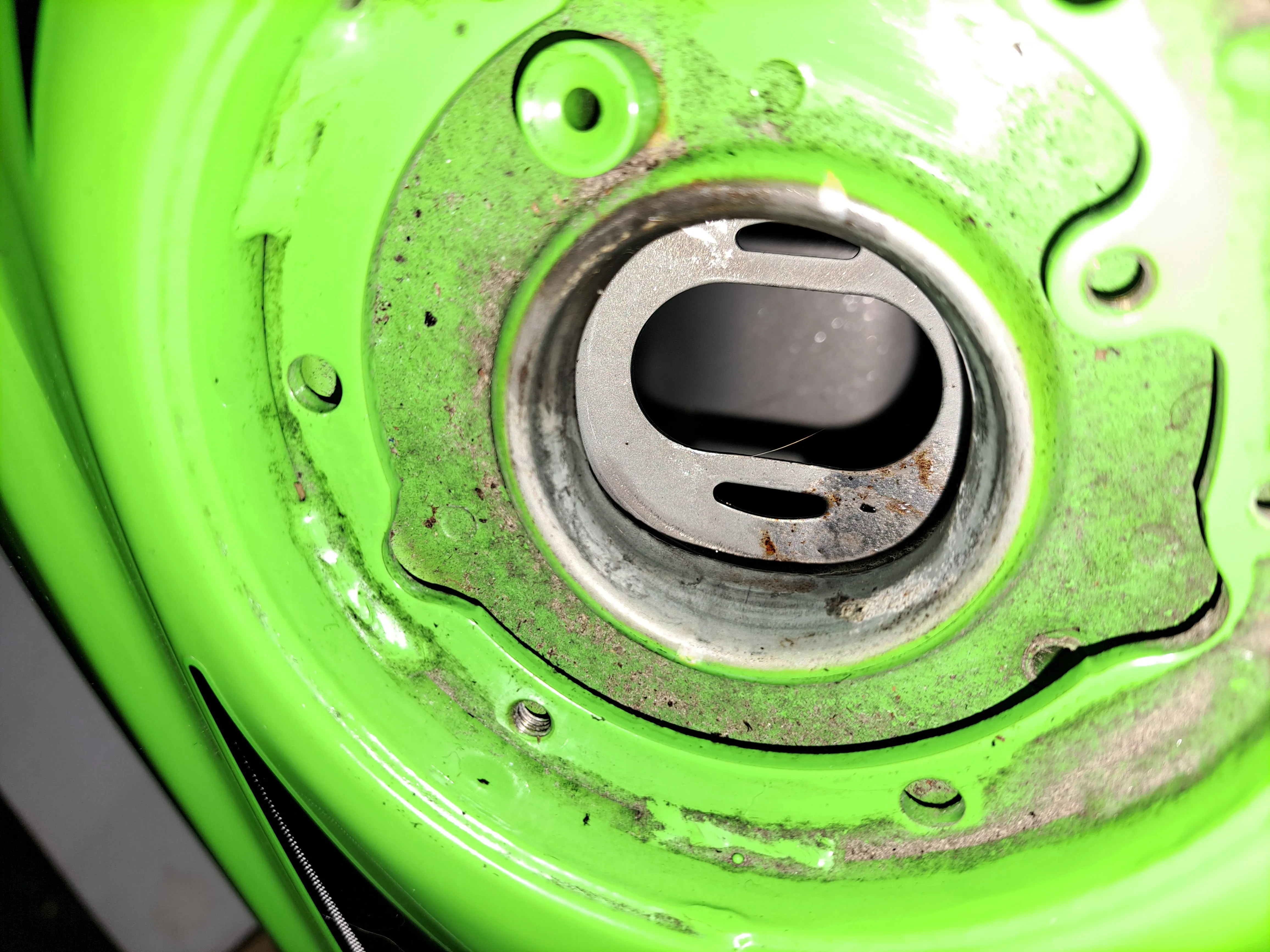 Ninja 300 Gas Tank